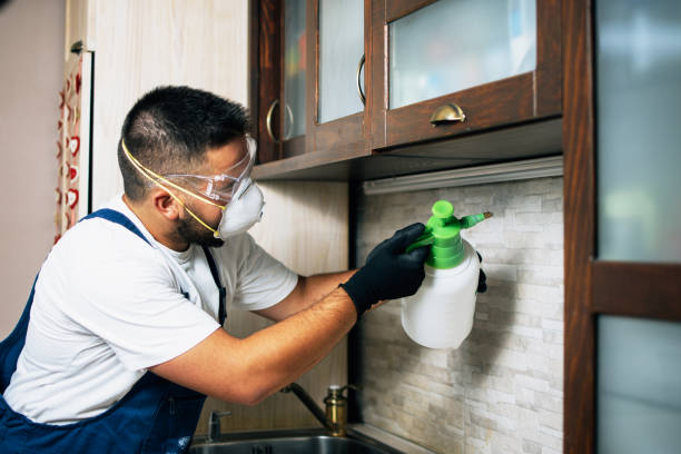 Best Residential Pest Control  in North Beach Haven, NJ