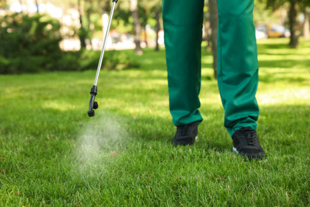 Best Pest Removal Services  in North Beach Haven, NJ