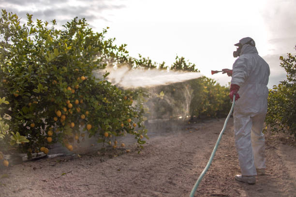 Best Bed Bug Extermination  in North Beach Haven, NJ
