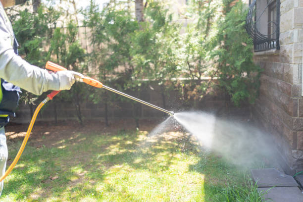 Best Wasp Removal Services  in North Beach Haven, NJ