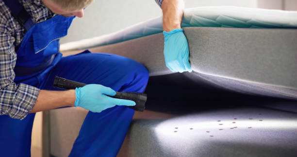 Best Affordable Pest Control Services  in North Beach Haven, NJ